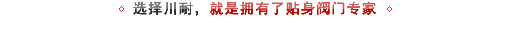 上海川耐 - 專業(yè)閥門生產廠家